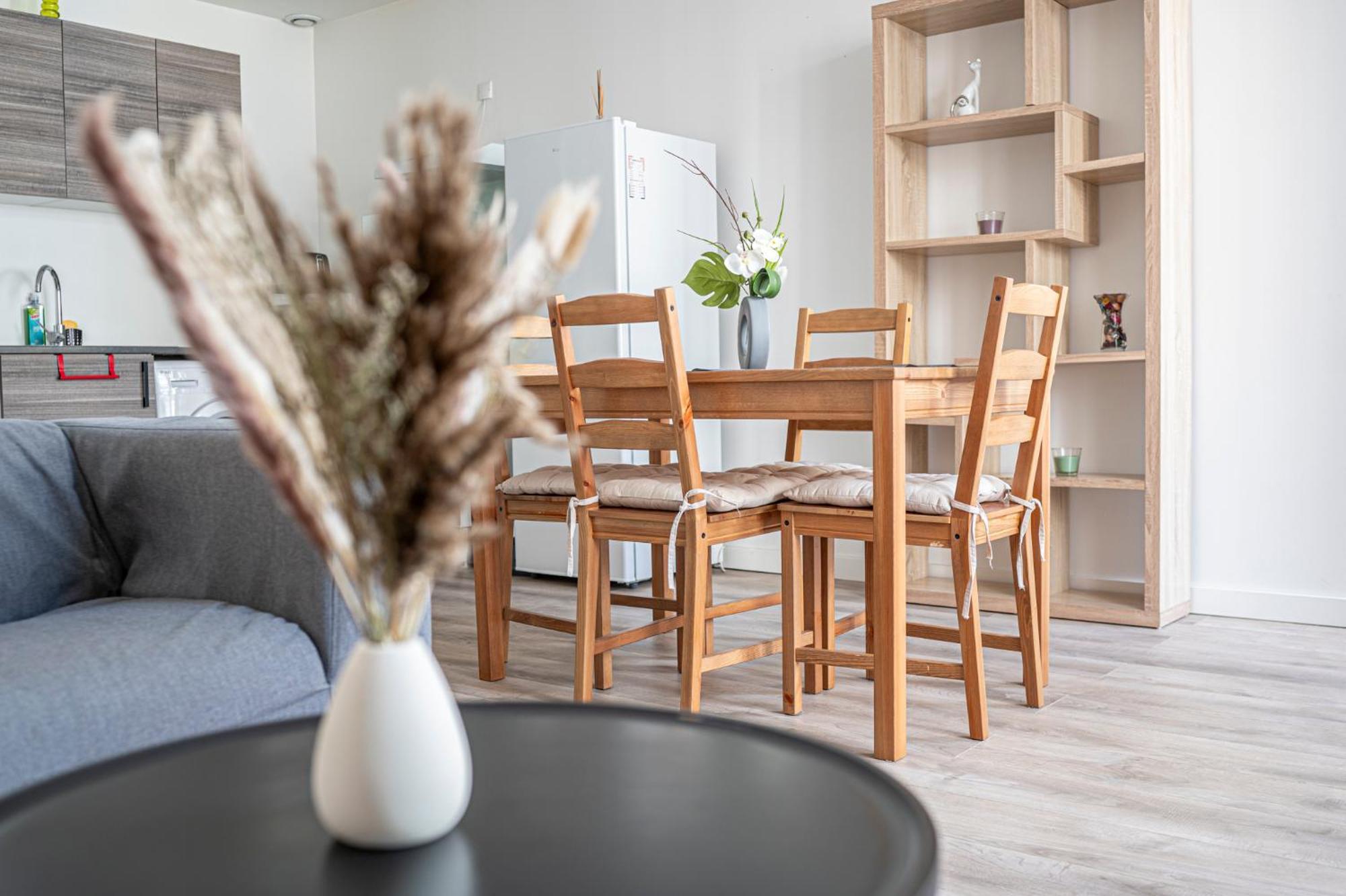 Pau Standing & Confort Ngoại thất bức ảnh